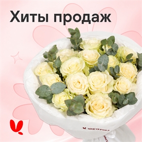 Хиты продаж