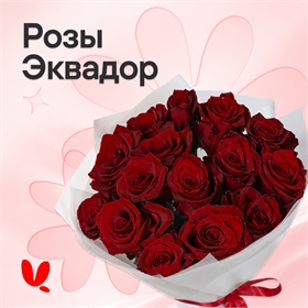 Розы Эквадор