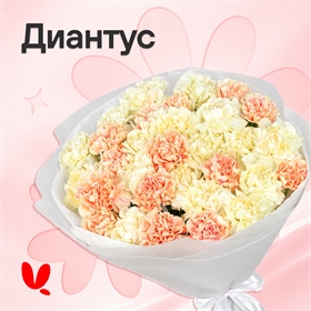 Диантусы