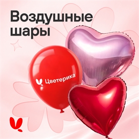 Воздушные шары