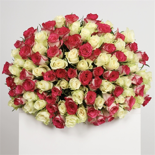 Букет из 101 розы Кения Микс 50 см 3919