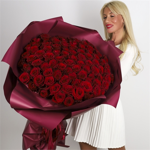 101 красная роза Эксплорер 60 см 2431