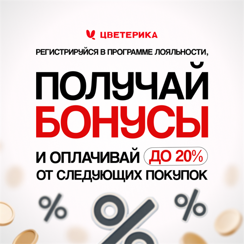 Программа лояльности 5507
