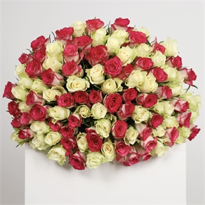 Букет из 101 розы Кения Микс 50 см 3919