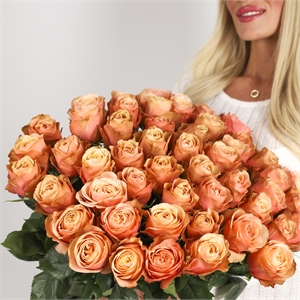51 персиковая роза Кахала 60 см 2996