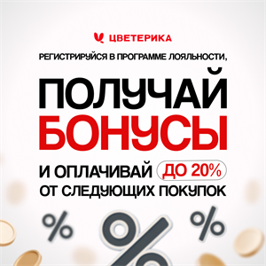 Программа лояльности 5507