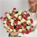 Букет из 51 розы Кения Микс 50 см 3918